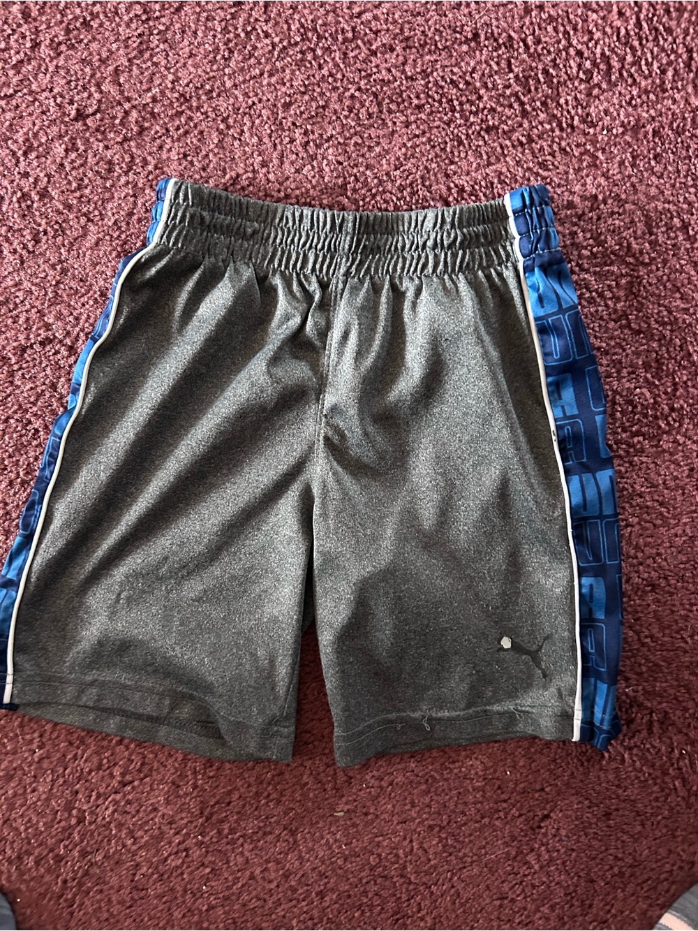 Puma Gray Shorts with Blue Side Panels and White Trim